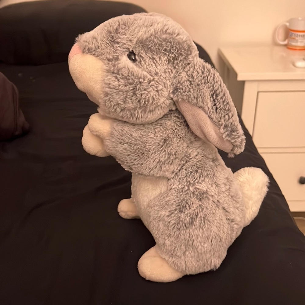 Stuffed bunny